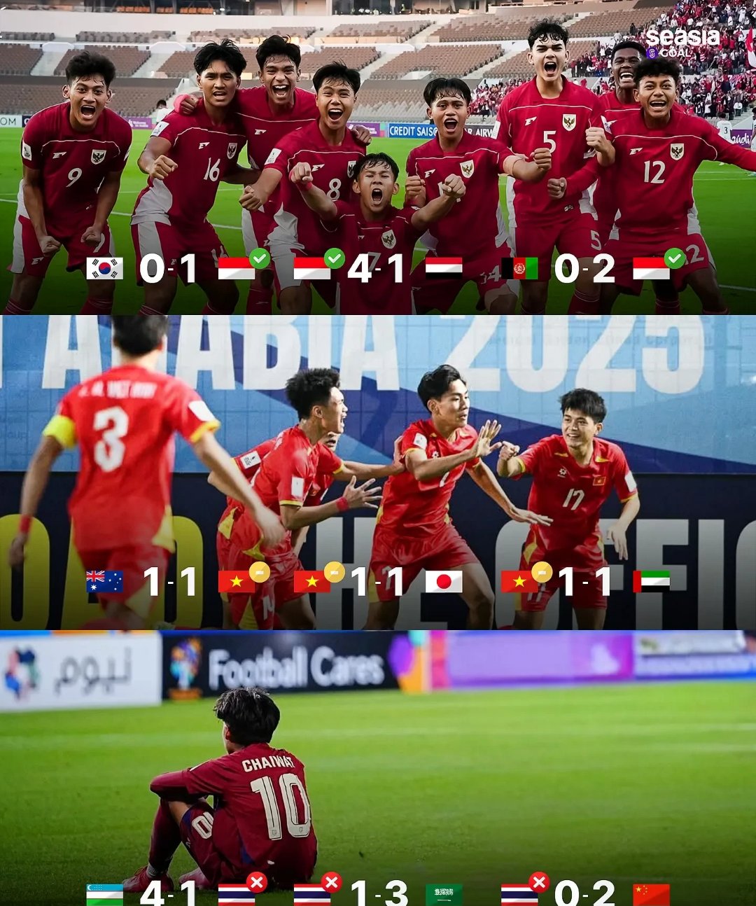 开云体育官网-越南队在亚冠比赛中的表现引发球迷热议的简单介绍